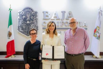 Marina del Pilar propone ley para impulsar la industria vitivinícola