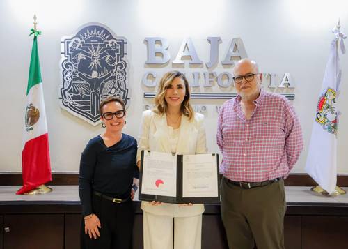 Marina del Pilar propone ley para impulsar la industria vitivinícola