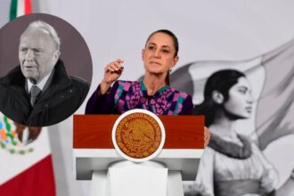 Sheinbaum: FGR definirá responsabilidad de Gertz en caso "El Jando"