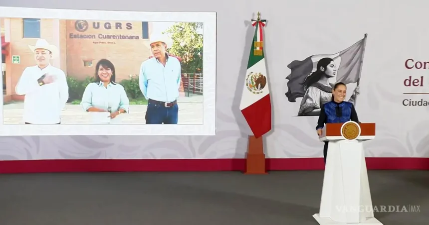 Sonora reanuda exportación ganadera a EE UU con nuevas medidas