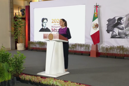 Sheinbaum convoca jornada nacional de reforestación el 9 de agosto