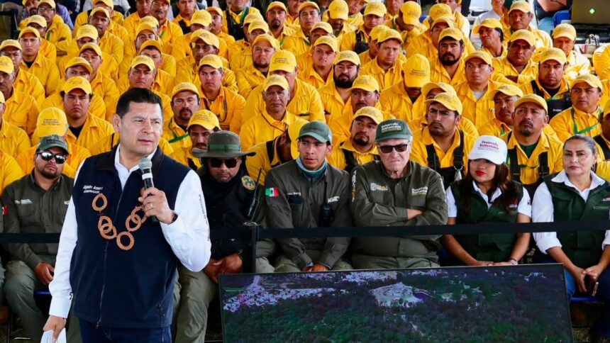 Puebla reforesta Alto Atoyac con 177,950 árboles para 2026
