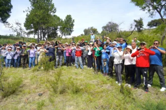 San Martín Texmelucan planta 2 mil árboles en jornada estatal